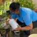 Saúde alerta para riscos de proliferação do mosquito da dengue no período chuvoso