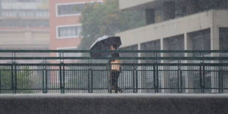 Frio persiste no Sul e parte do Sudeste; temporais ganham força no Nordeste e no Norte ao longo da semana