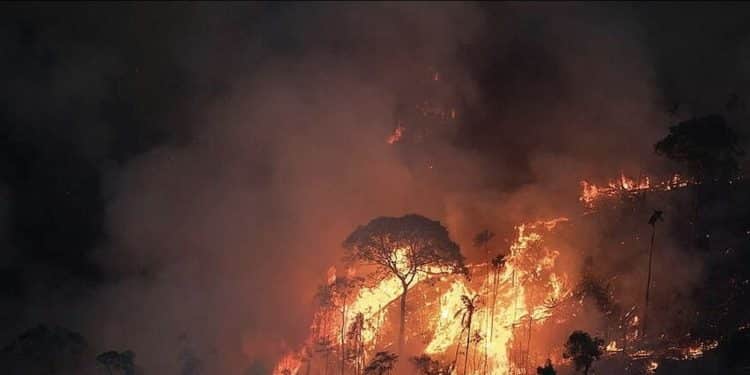 1000 dias de rombo, impostos e corrupção