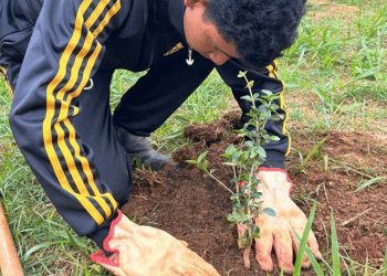 Projeto Florir deixa sua marca em espaços públicos e amplia protagonismo juvenil em Araxá