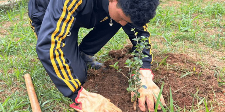Projeto Florir deixa sua marca em espaços públicos e amplia protagonismo juvenil em Araxá