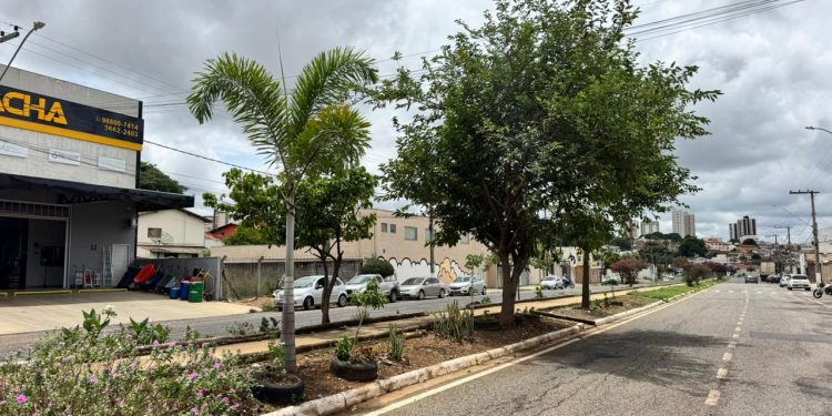 Prefeitura orienta moradores sobre plantio correto em áreas públicas de Araxá