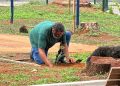 Praça Mangueira ganha novas árvores com a chegada do período chuvoso
