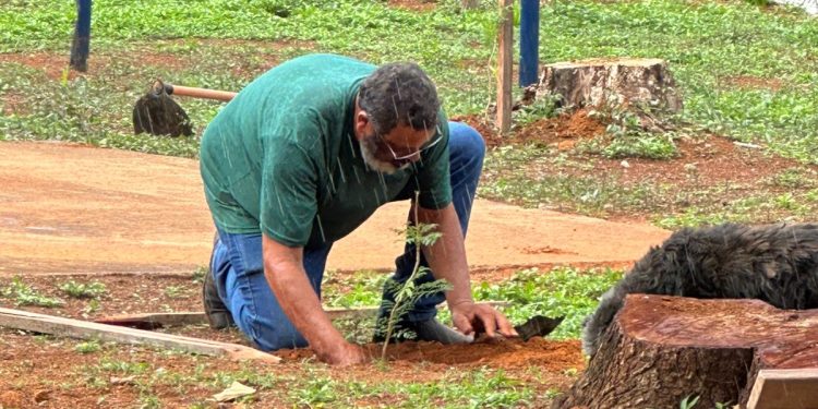 Praça Mangueira ganha novas árvores com a chegada do período chuvoso