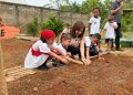 Projeto Produzindo e Aprendendo leva hortas educativas a 10 escolas de Araxá