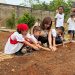 Projeto Produzindo e Aprendendo leva hortas educativas a 10 escolas de Araxá