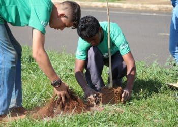 Assistência Social de Araxá fortalece vínculos, oferece oportunidades e ajuda na prevenção de crimes