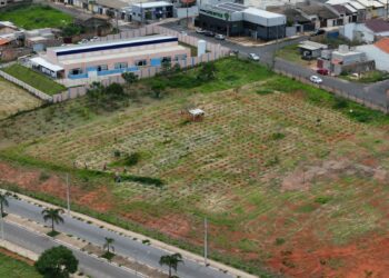 Araxá avança na agenda ambiental e transforma 2025 em um ano histórico para o meio ambiente