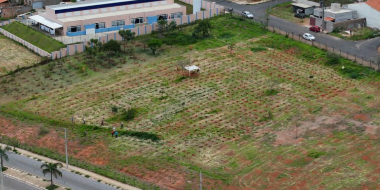 Araxá avança na agenda ambiental e transforma 2025 em um ano histórico para o meio ambiente