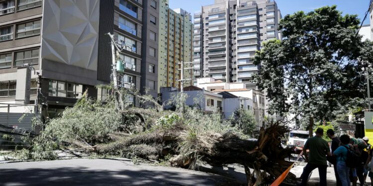 Um dia após vendaval, SP tem 1,4 milhão de imóveis sem energia e abastecimento de água afetado