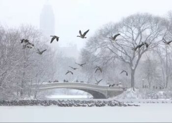 Nevasca causa milhares de atrasos e cancelamentos de voos nos Estados Unidos