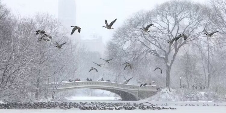 Nevasca causa milhares de atrasos e cancelamentos de voos nos Estados Unidos