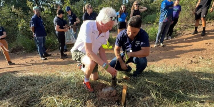 Araxá planta mais de 5.300 árvores e transforma a paisagem da cidade em 2025