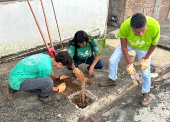 Uma Árvore na Minha Calçada: jovens do Casa do Pequeno Jardineiro realizam plantio de árvores em nova parceria com o IPDSA