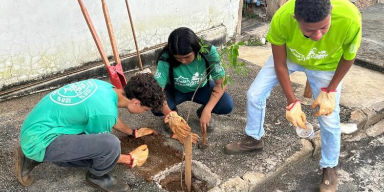 Uma Árvore na Minha Calçada: jovens do Casa do Pequeno Jardineiro realizam plantio de árvores em nova parceria com o IPDSA
