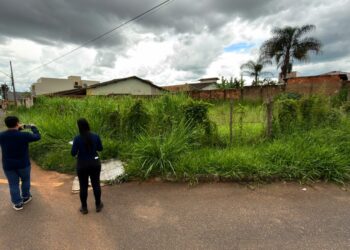 IPDSA intensifica fiscalização preventiva em terrenos baldios durante o período chuvoso