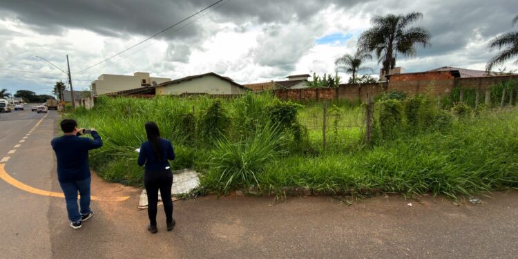 IPDSA intensifica fiscalização preventiva em terrenos baldios durante o período chuvoso