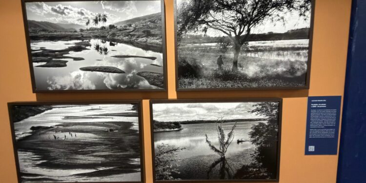 Última semana para visitar a exposição “Foto em Pauta – Eztetyka da Terra” no Museu Dona Beja