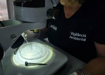 Primeiro LIRAa de 2026 aponta média infestação do Aedes aegypti e acende alerta para cuidados da população