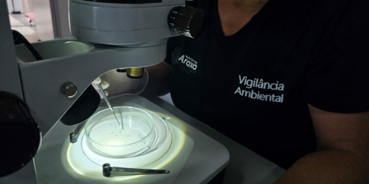 Primeiro LIRAa de 2026 aponta média infestação do Aedes aegypti e acende alerta para cuidados da população