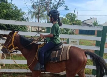 Prefeitura de Araxá realiza o repasse de mais de R$ 4,2 milhões para projetos sociais voltados a crianças e adolescentes
