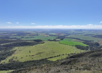 Novo investimento fortalece projeto de terras raras em Araxá no cenário mundial