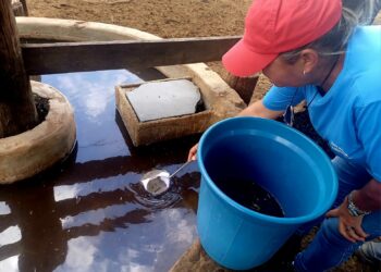 Prefeitura de Araxá executa estratégias de combate ao Aedes aegypti em pontos de maior risco de infestação