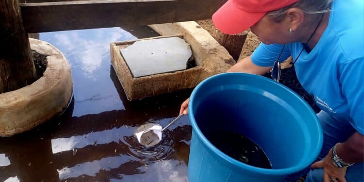 Prefeitura de Araxá executa estratégias de combate ao Aedes aegypti em pontos de maior risco de infestação