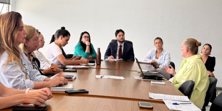 Comitê Intersetorial avança na construção do Plano Municipal da Primeira Infância