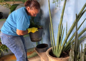 Levantamento com drones identifica mais de 2 mil possíveis criadouros da dengue em Araxá e vigilância intensifica visitas domiciliares