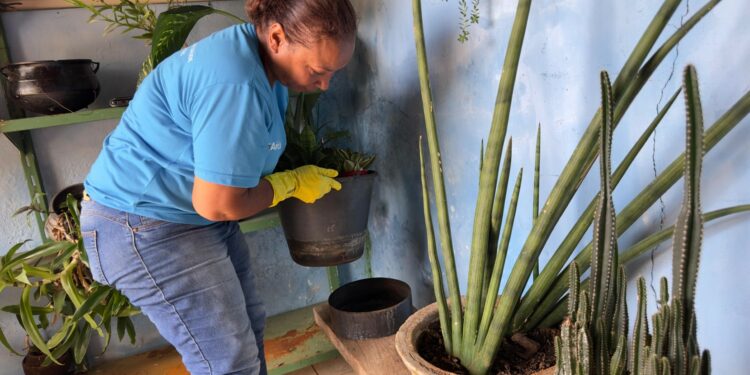 Levantamento com drones identifica mais de 2 mil possíveis criadouros da dengue em Araxá e vigilância intensifica visitas domiciliares