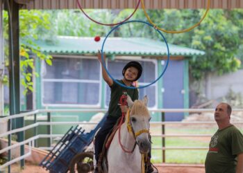 Declaração do Imposto de Renda começa na terça e permite ajudar projetos sociais sem custo