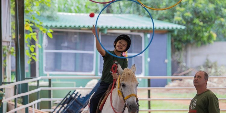 Declaração do Imposto de Renda começa na terça e permite ajudar projetos sociais sem custo