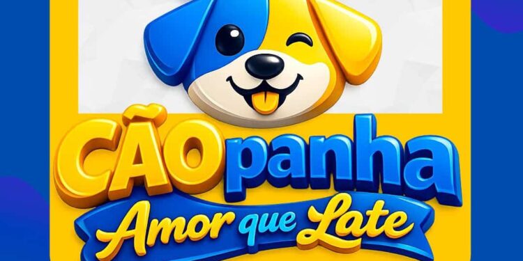 Canil Municipal lança a “Cãopanha Amor que Late” com mais de 150 animais disponíveis para adoção