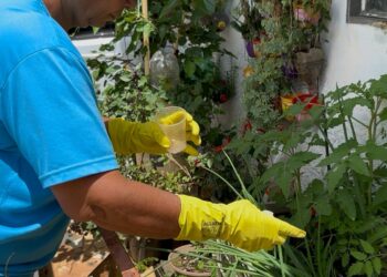 Dia D contra a dengue mobiliza mais de 3 mil pessoas e alcança 30 bairros em Araxá