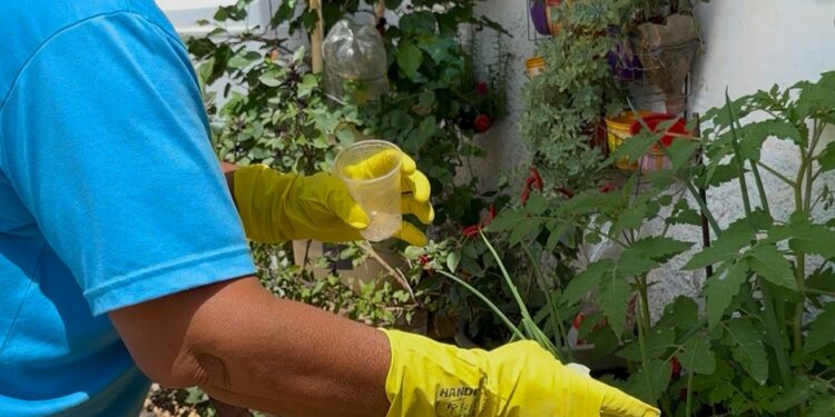 Dia D contra a dengue mobiliza mais de 3 mil pessoas e alcança 30 bairros em Araxá