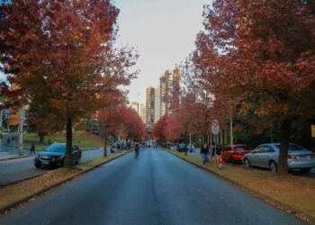 Outono começa amanhã: veja como vai ser a estação em todas as regiões do Brasil