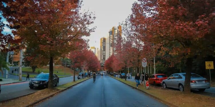 Outono começa amanhã: veja como vai ser a estação em todas as regiões do Brasil