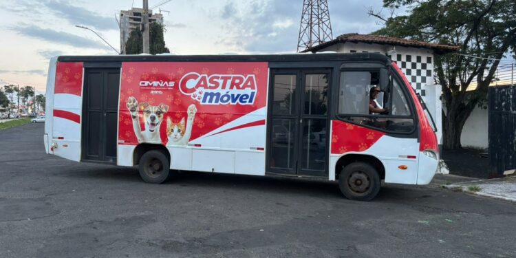 Ciminas promove mutirão com 400 castrações gratuitas em Araxá com apoio da Prefeitura