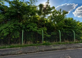 Projeto de requalificação de áreas verdes já soma mais de 5.600 mudas plantadas em Araxá