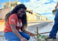Projeto “Uma Árvore na Minha Calçada” incentiva moradores a deixarem Araxá mais verde e sustentável