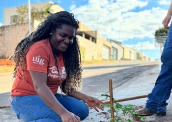 Projeto “Uma Árvore na Minha Calçada” incentiva moradores a deixarem Araxá mais verde e sustentável