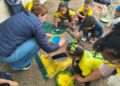 Copa do Mundo movimenta escolas municipais com atividades pedagógicas