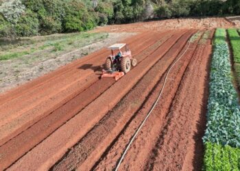 Secretaria de Agricultura e Pecuária orienta produtores sobre emissão do Certificado de Cadastro de Imóvel Rural 2026