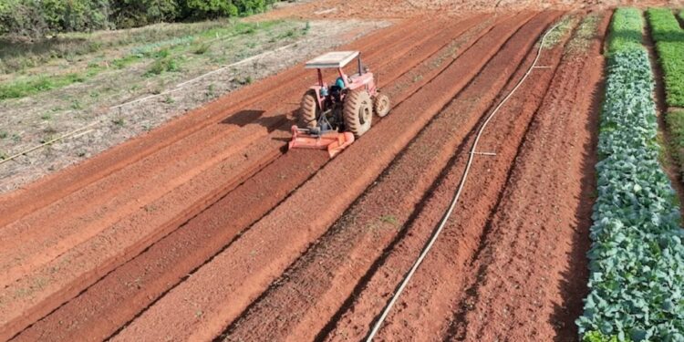 Secretaria de Agricultura e Pecuária orienta produtores sobre emissão do Certificado de Cadastro de Imóvel Rural 2026