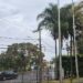 Alerta de tempestade e granizo em MG: 13 cidades do Triângulo e Alto Paranaíba podem ser afetadas