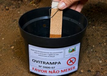 Prefeitura de Araxá inicia a implantação das ovitrampas, nova estratégia de combate à dengue