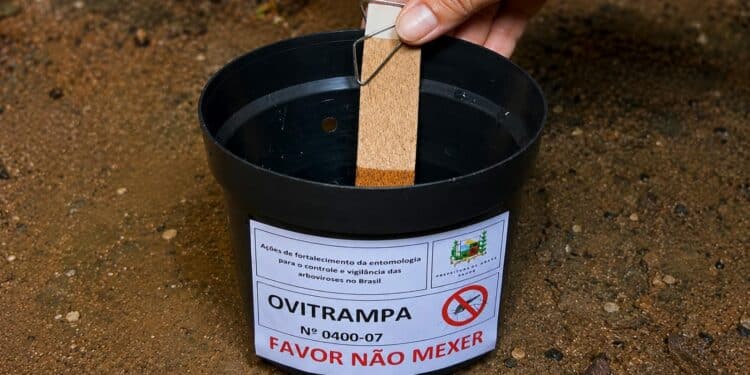 Prefeitura de Araxá inicia a implantação das ovitrampas, nova estratégia de combate à dengue