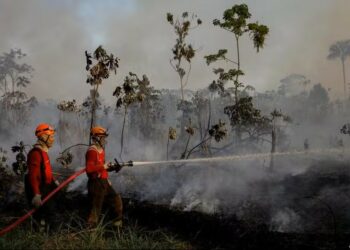 Chance de El Niño muito forte entre outubro e dezembro chega a 95%, diz agência climática dos EUA