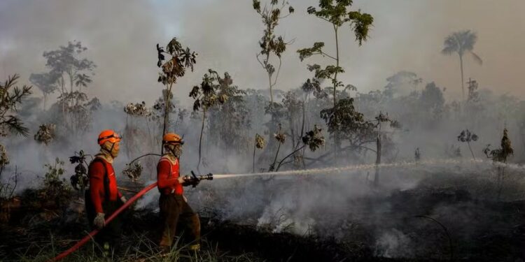 Chance de El Niño muito forte entre outubro e dezembro chega a 95%, diz agência climática dos EUA